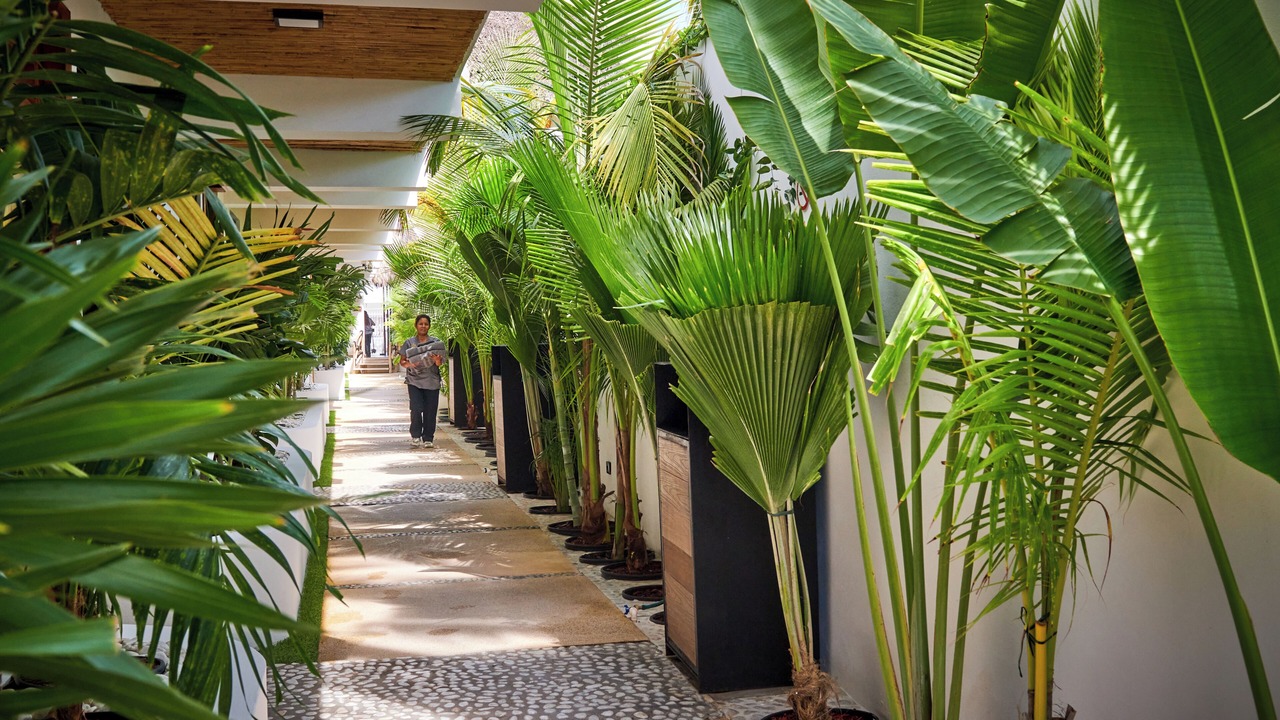 Photo of Outdoor in Centro