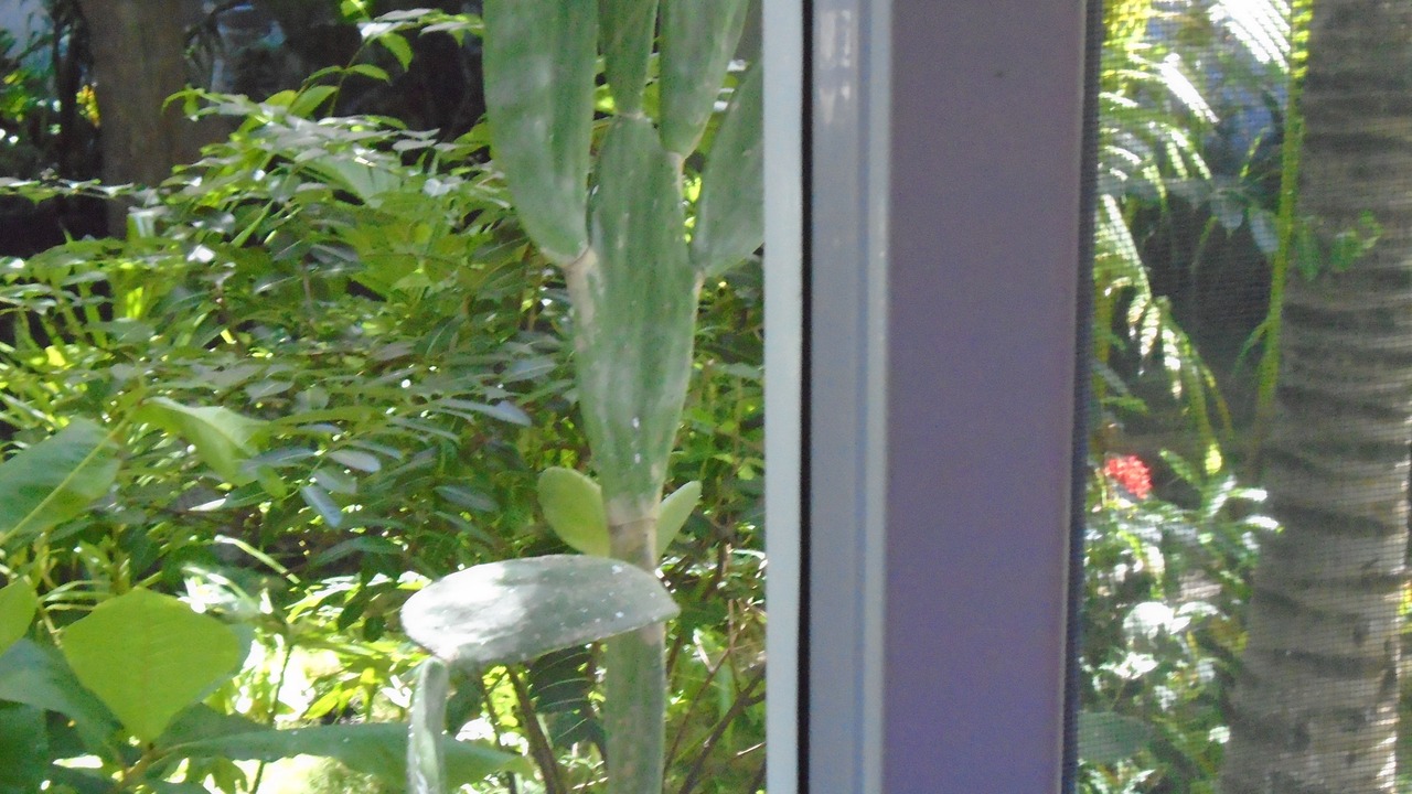 Photo of Outdoor in Monterrico