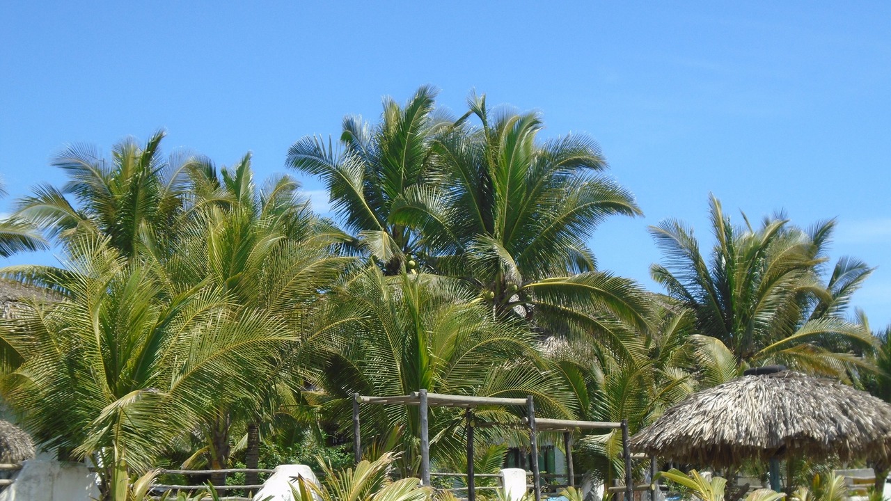 Photo of Outdoor in Monterrico
