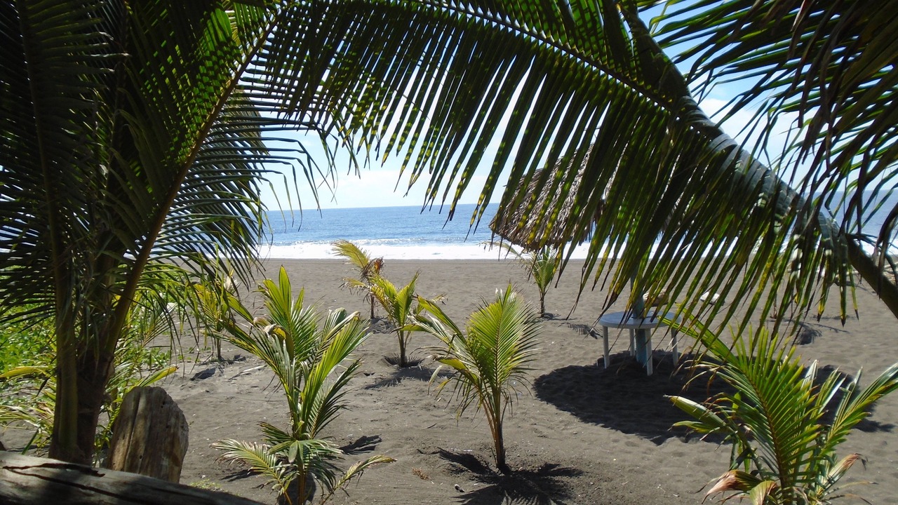 Photo of Others in Monterrico