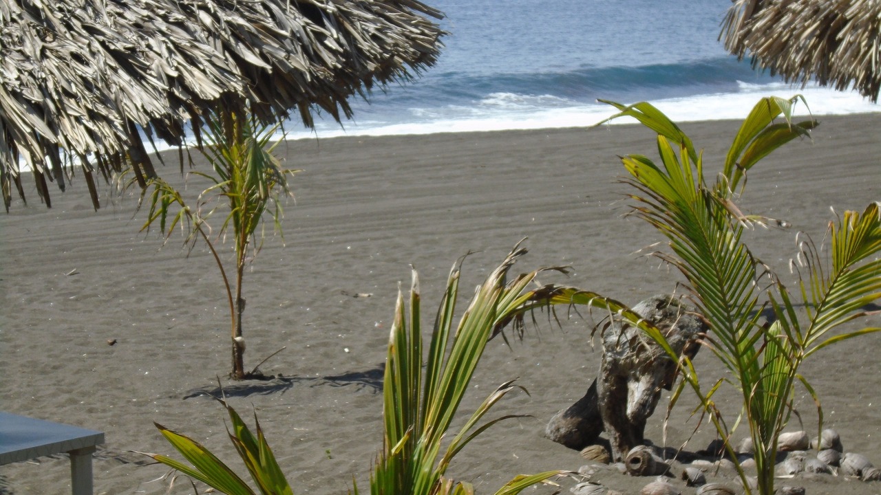 Photo of Others in Monterrico