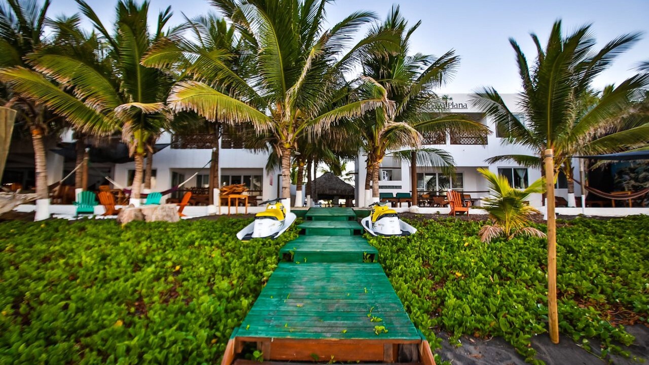 Photo of Outdoor in El Hawaii