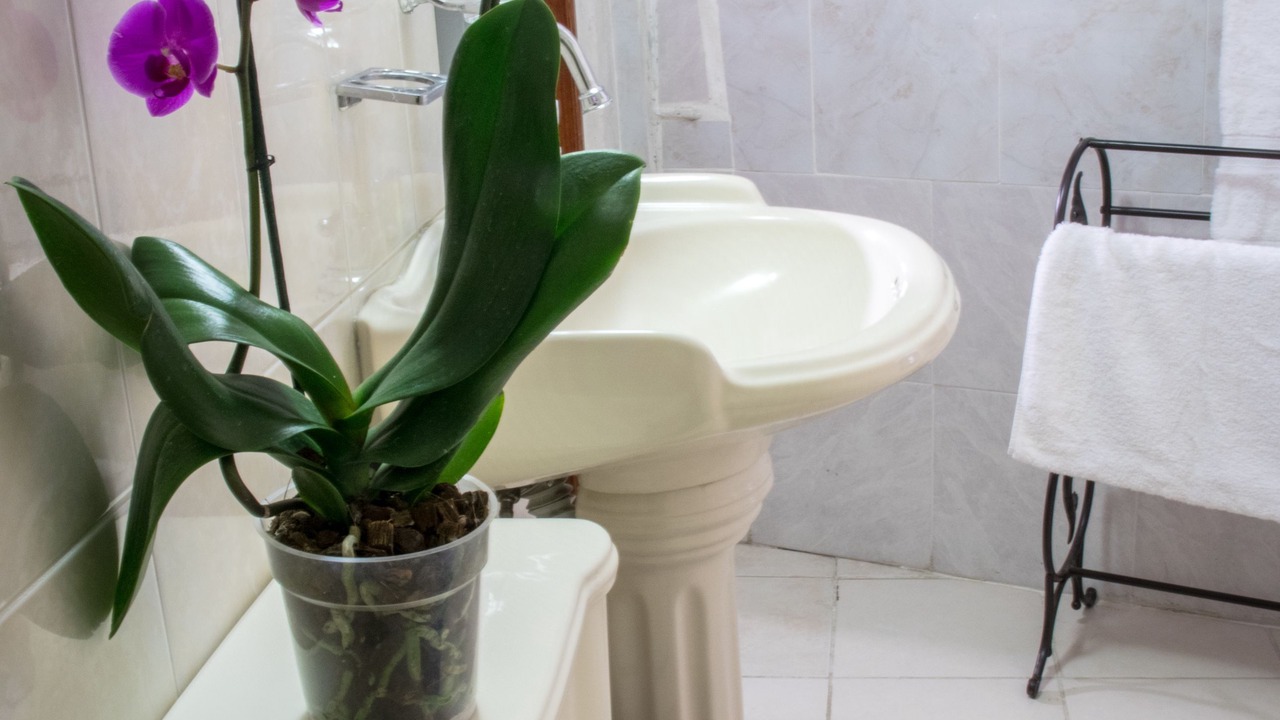 Photo of Bathroom in De La Presa