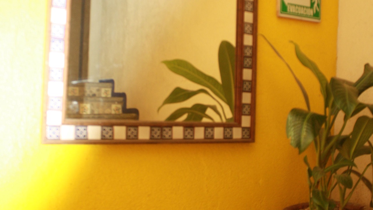 Photo of Others in Puerto Escondido