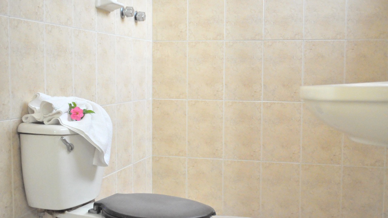 Photo of Bathroom in Irapuato