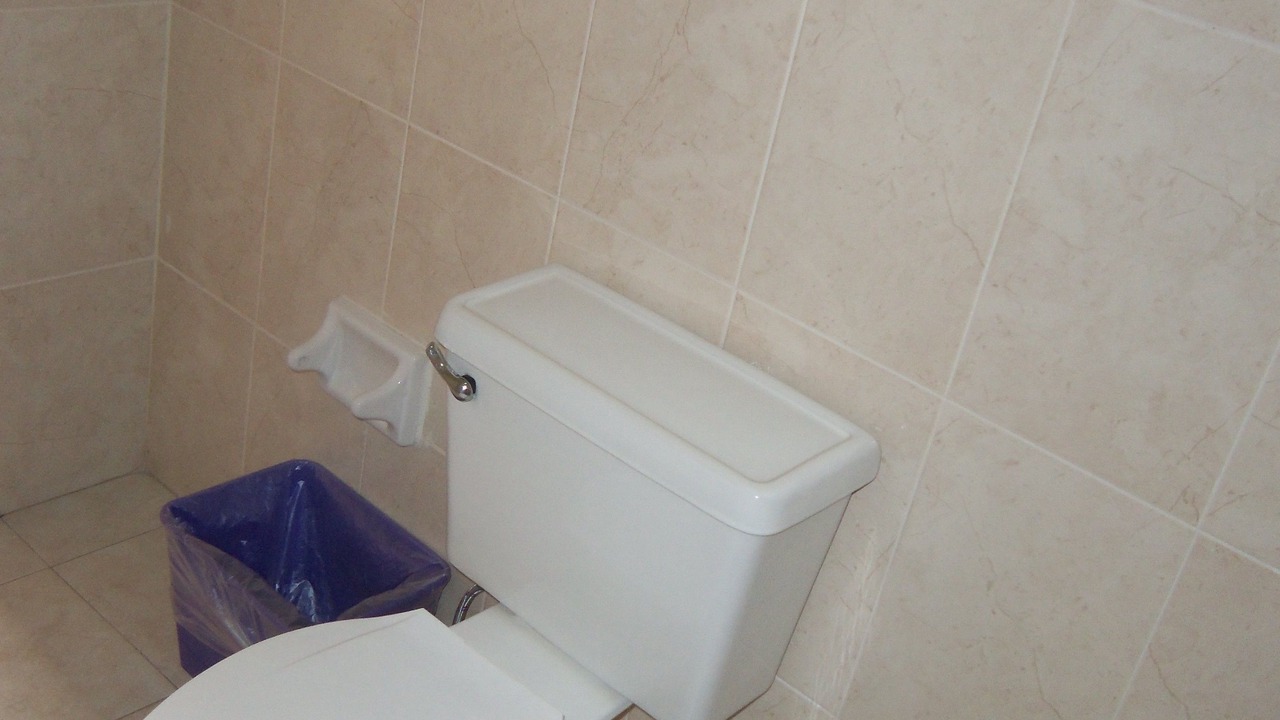 Photo of Bathroom in Irapuato