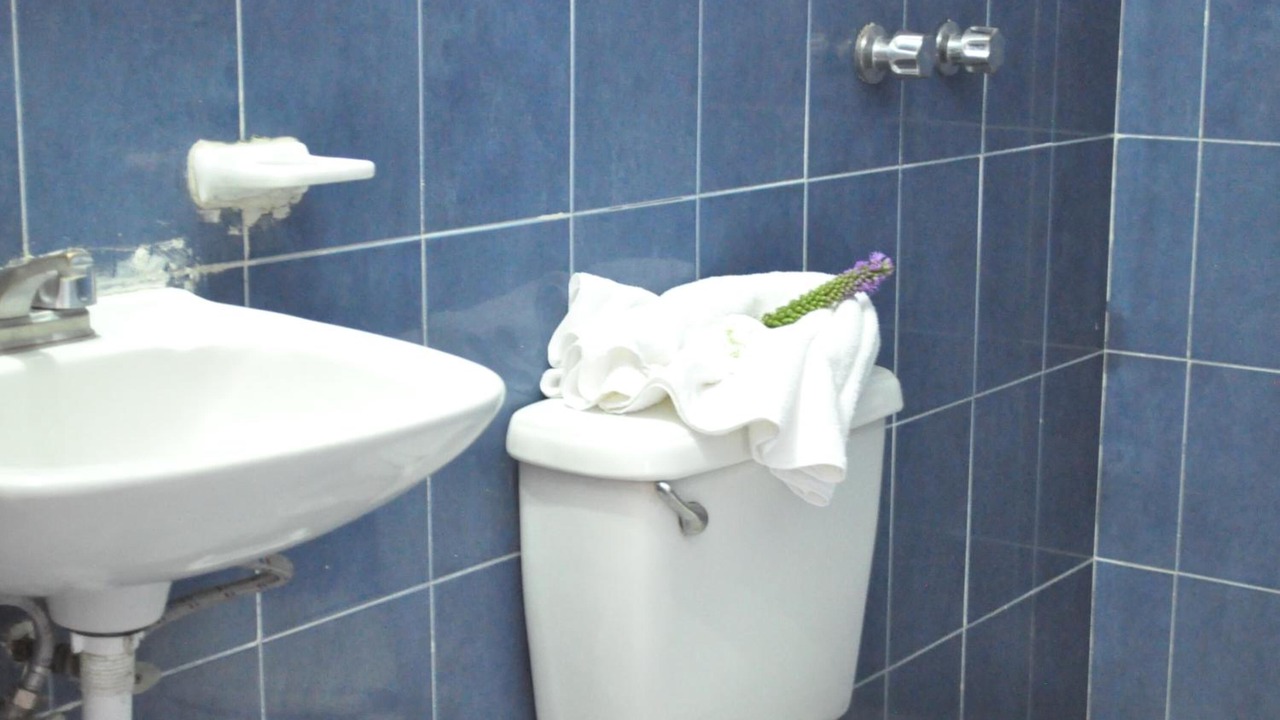 Photo of Bathroom in Irapuato