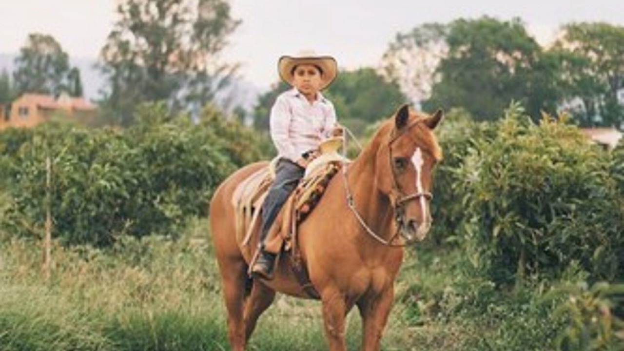 Photo of Others in La Mesa