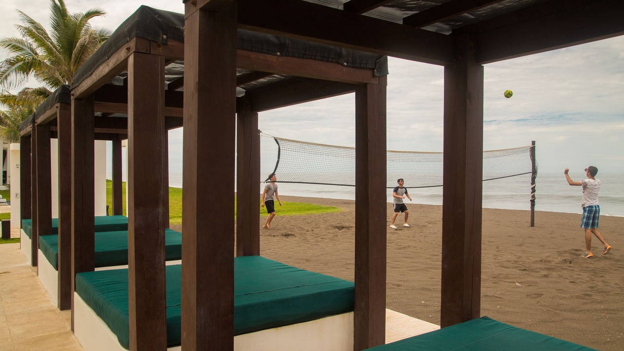 Photo of Others in Monterrico