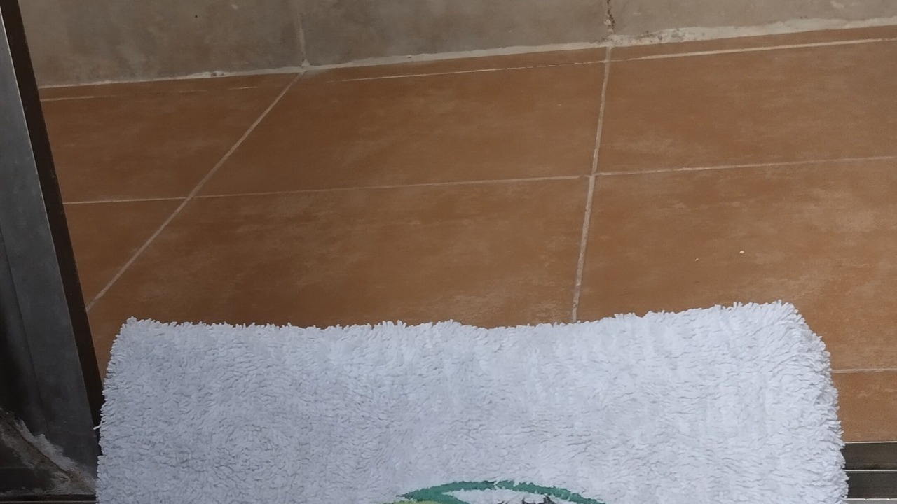 Photo of Bathroom in Campeche