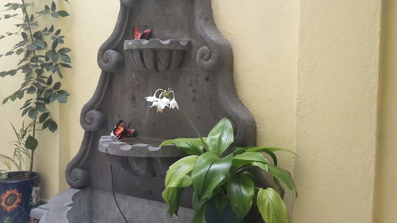 Photo of Others in Downtown Queretaro