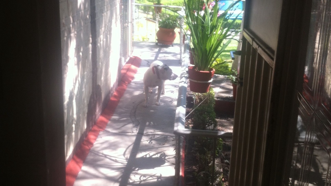 Photo of Bedroom in Emiliano Zapata