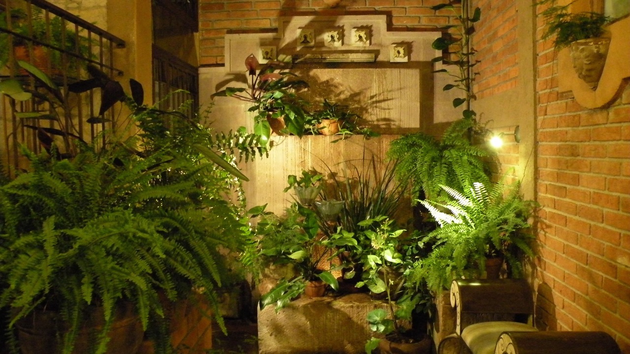 Photo of Others in Vista Bella