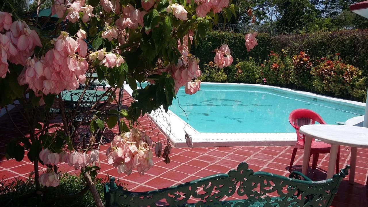 Photo of Outdoor in L
