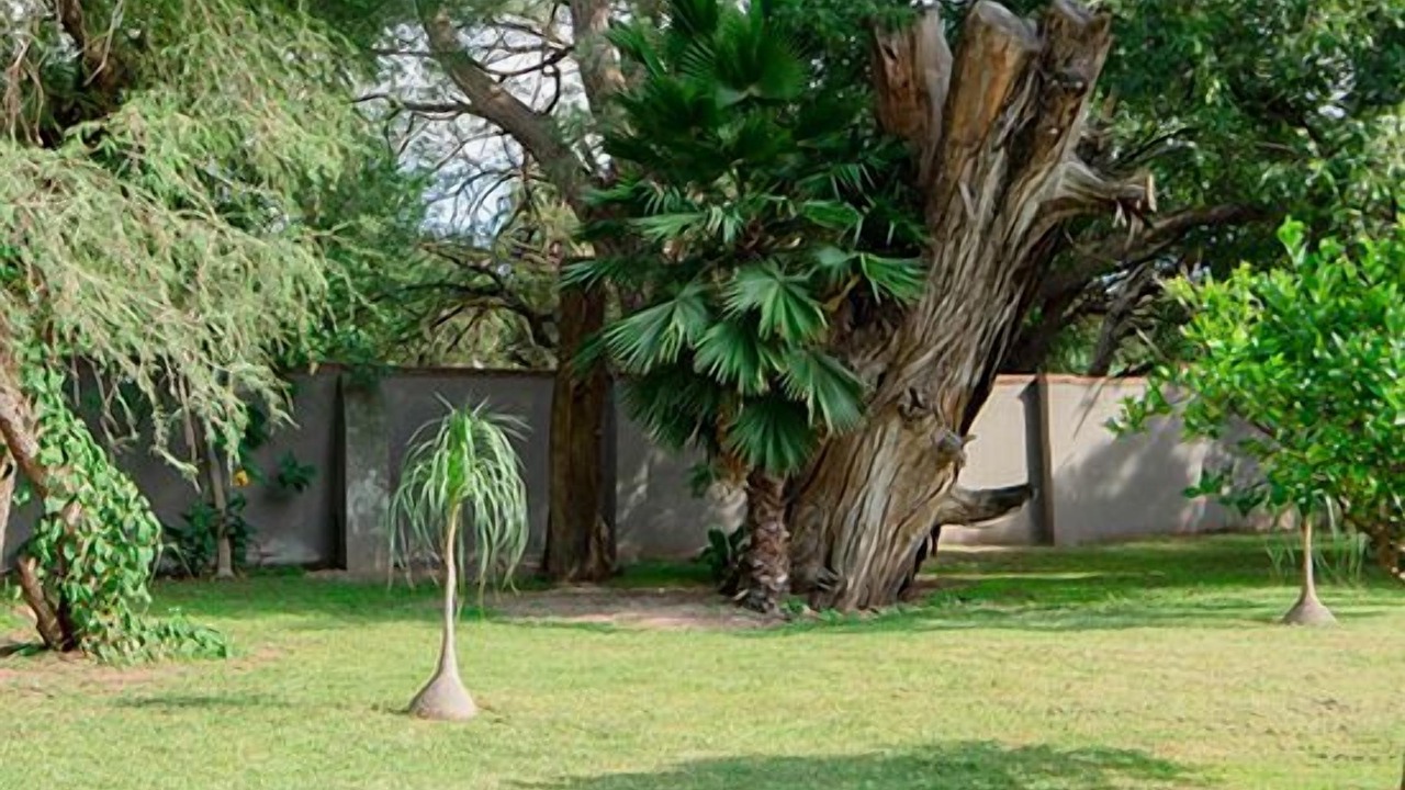 Photo of Outdoor in Centro