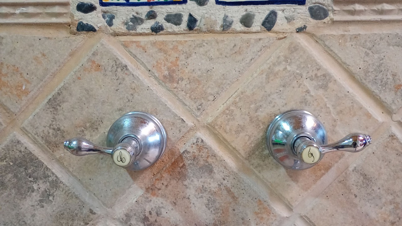 Photo of Bathroom in Santa Ursula Coapa