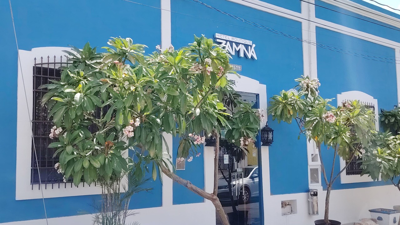 Photo of Outdoor in Barrio de Santiago