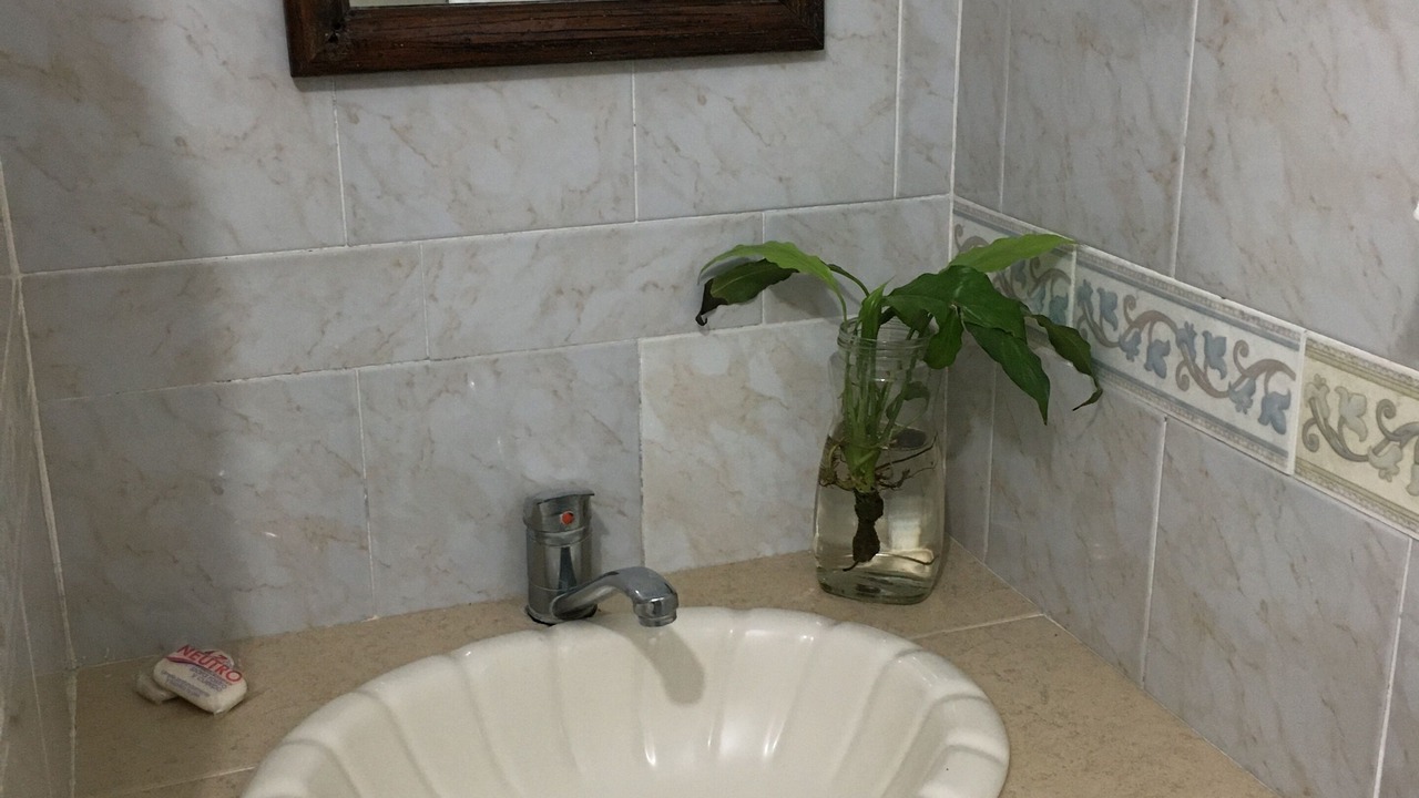 Photo of Bathroom in Centro