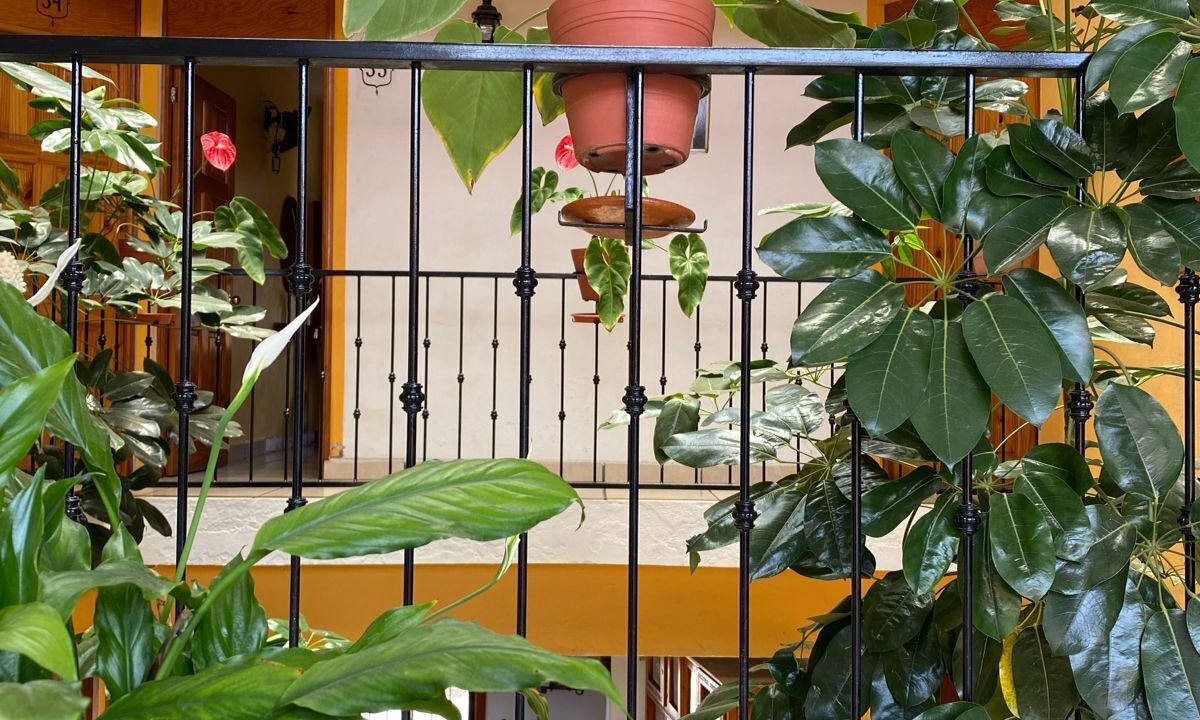 Photo of Others in Centro
