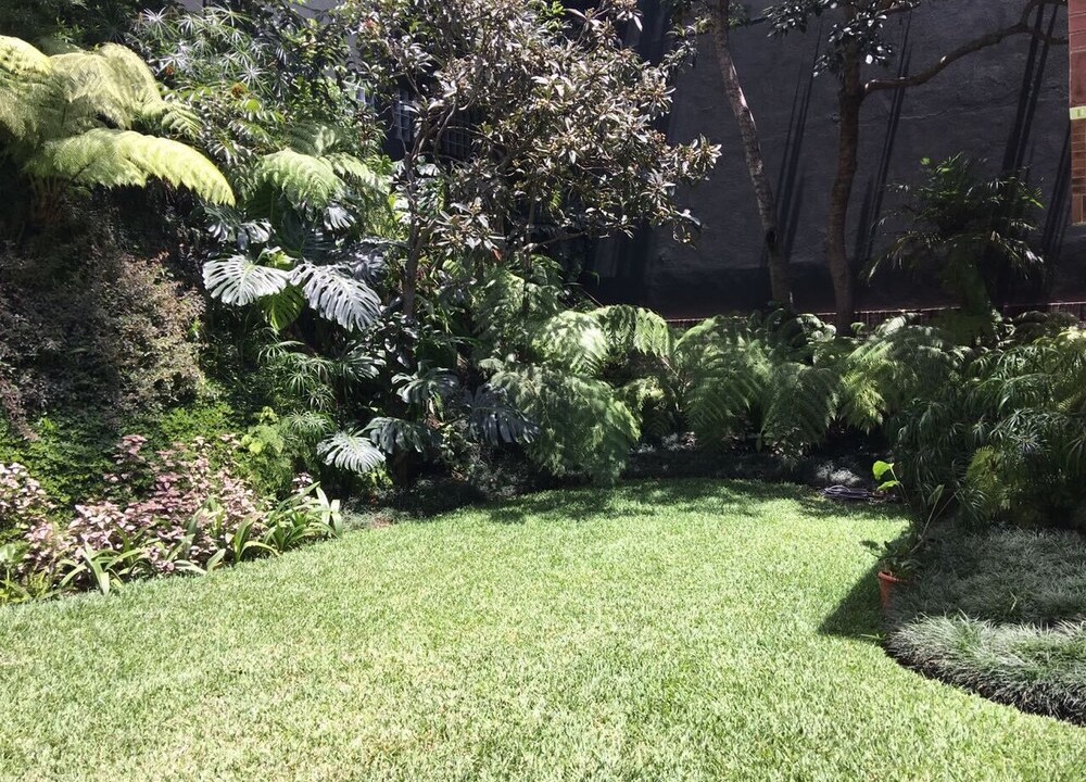 Photo of Outdoor in Zona 14