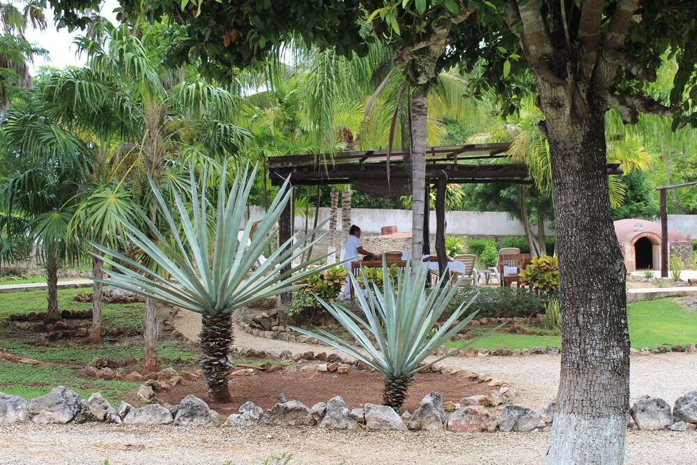 Photo of Patio Balcony in Tecoh