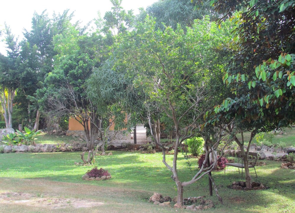 Photo of Outdoor in Tecoh