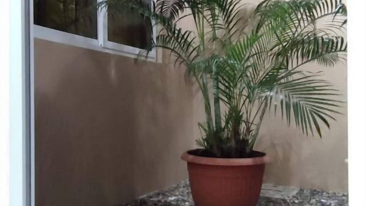 Photo of Outdoor in Chiquimula