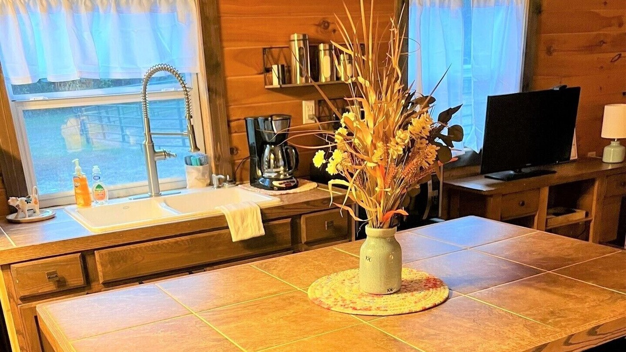 Photo of Kitchen in Van