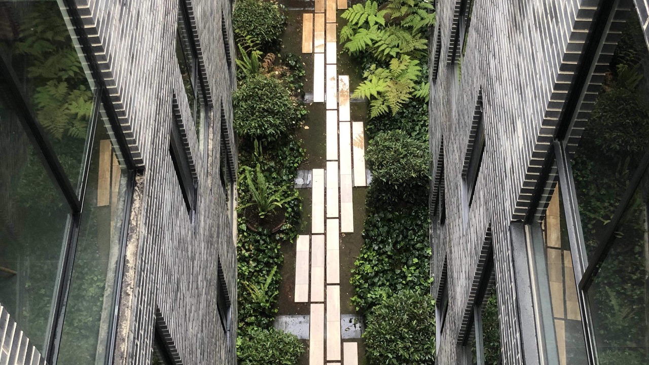Photo of Outdoor in Cuajimalpa