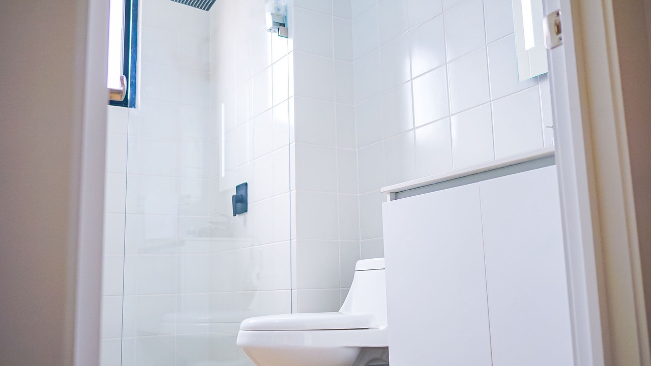 Photo of Bathroom in Zona 13
