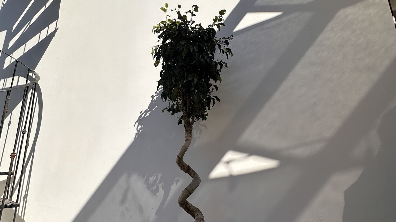 Photo of Outdoor in Loreto