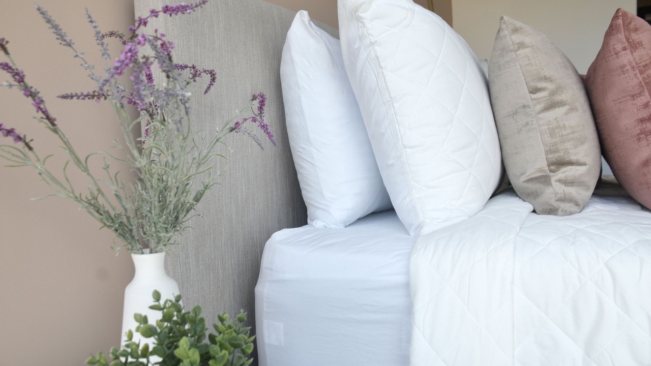 Photo of Bedroom in Zona 16