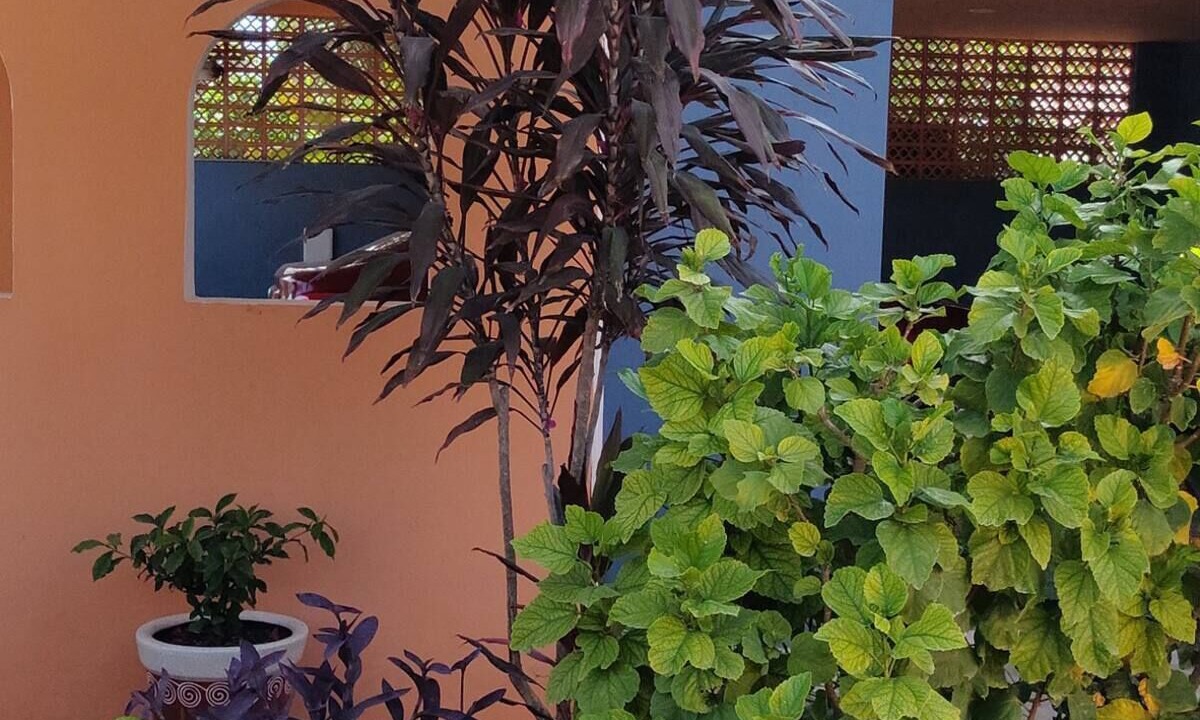 Photo of Outdoor in Merida