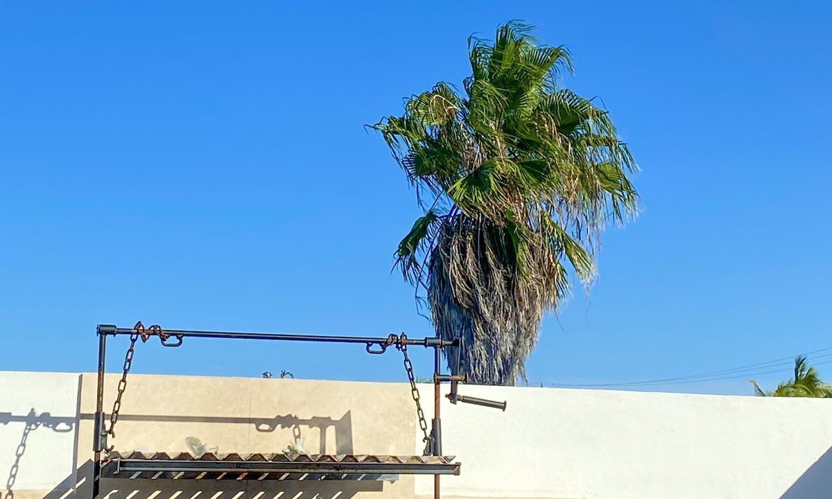 Photo of Outdoor in Buenavista