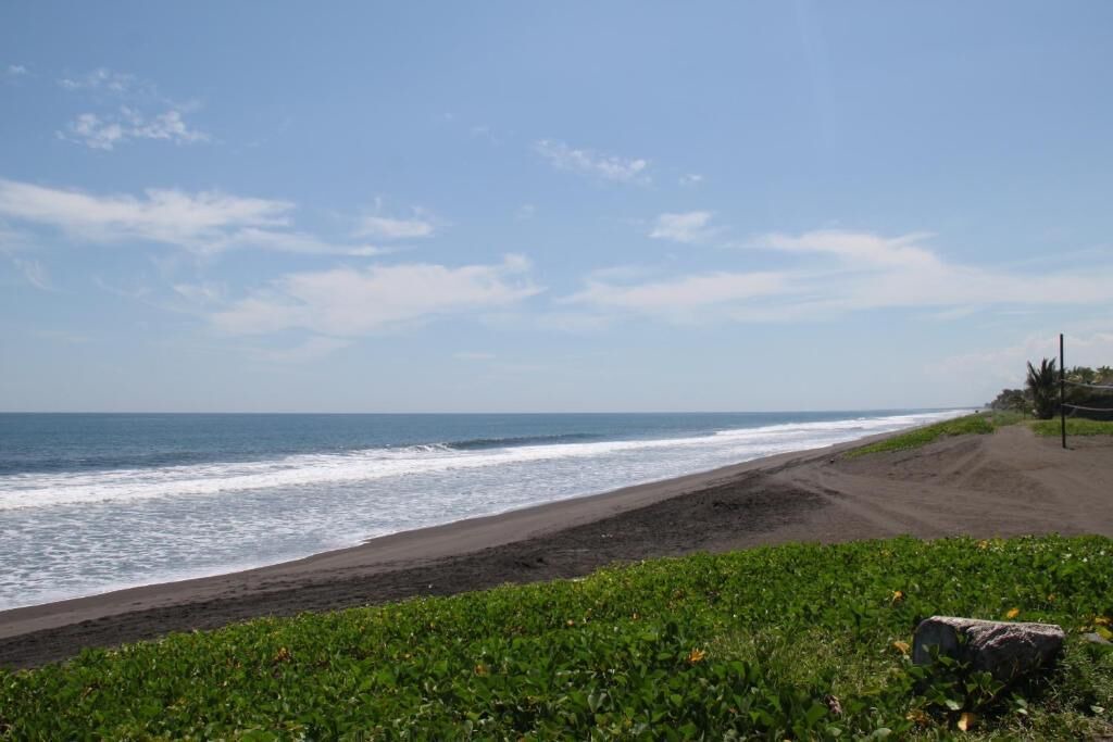 Photo of Others in Monterrico