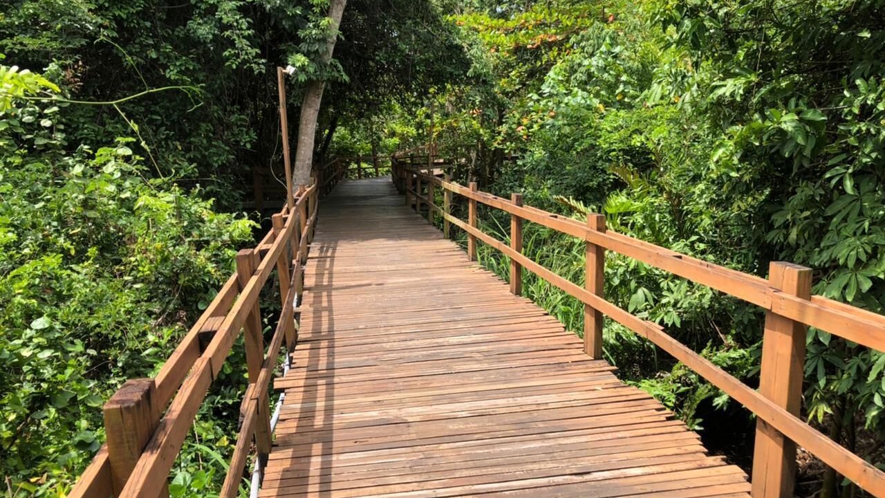 Photo of Outdoor in Puerto San Jose
