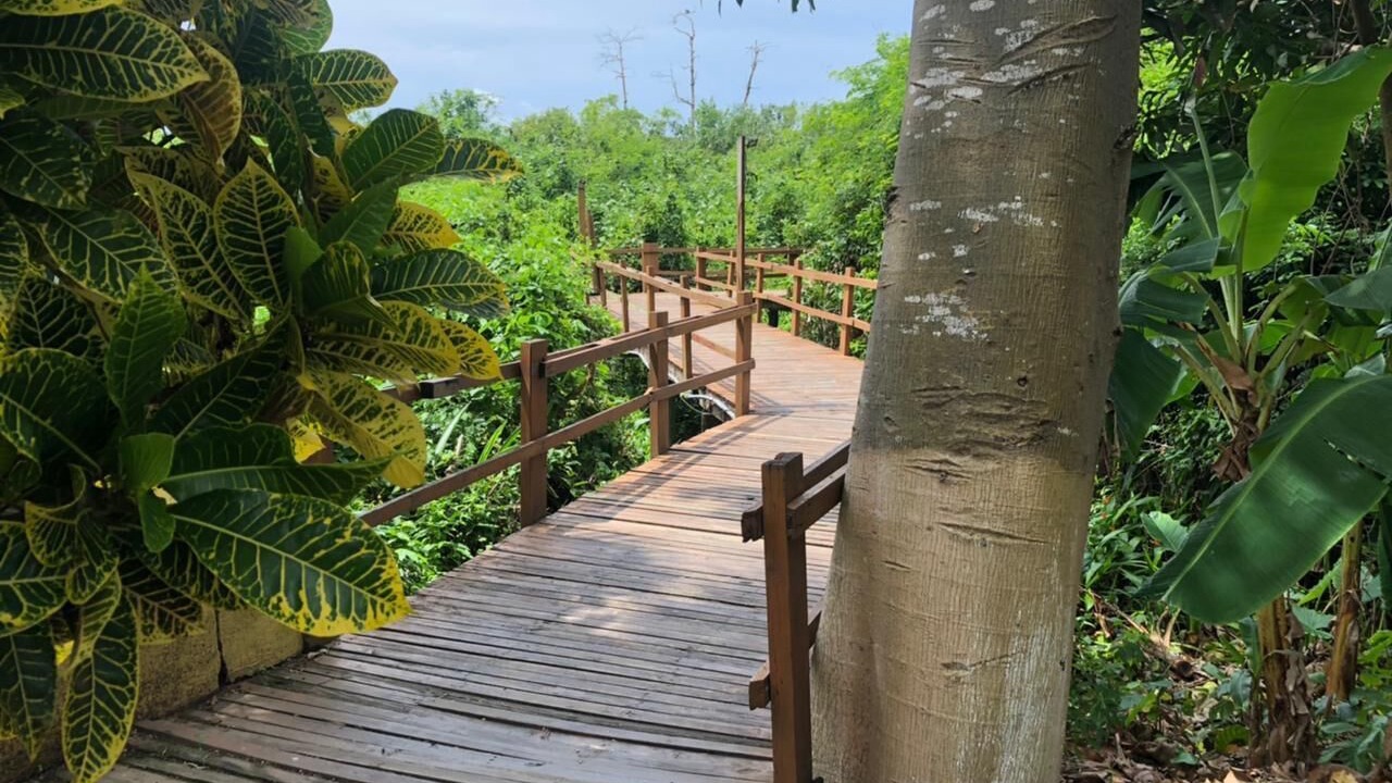 Photo of Outdoor in Puerto San Jose