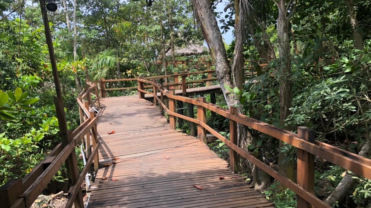 Photo of Outdoor in Puerto San Jose
