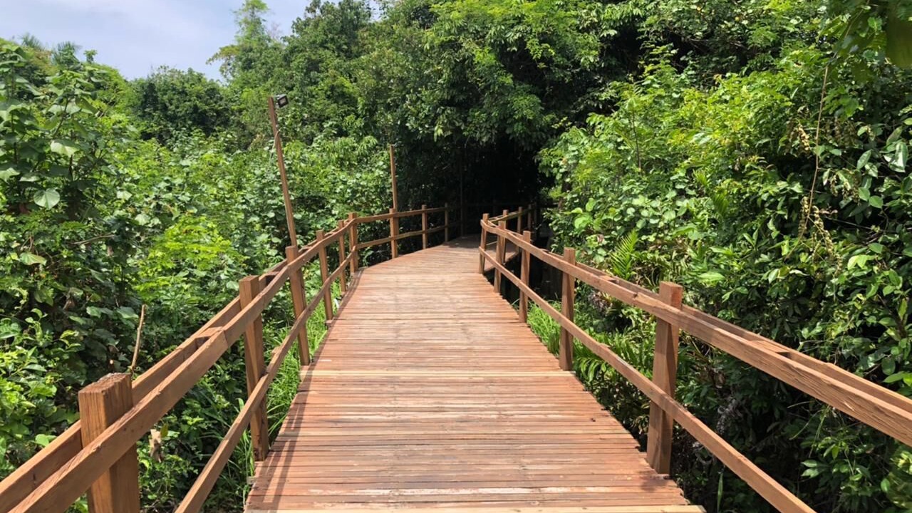 Photo of Outdoor in Puerto San Jose