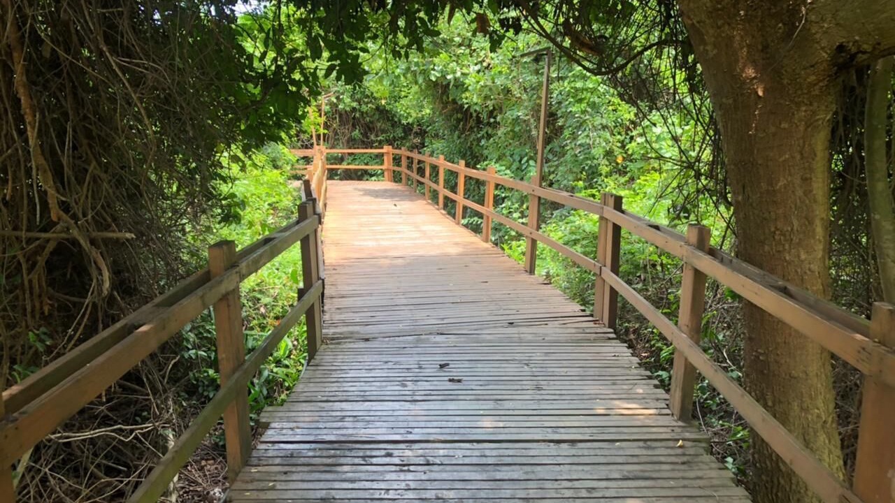 Photo of Outdoor in Puerto San Jose