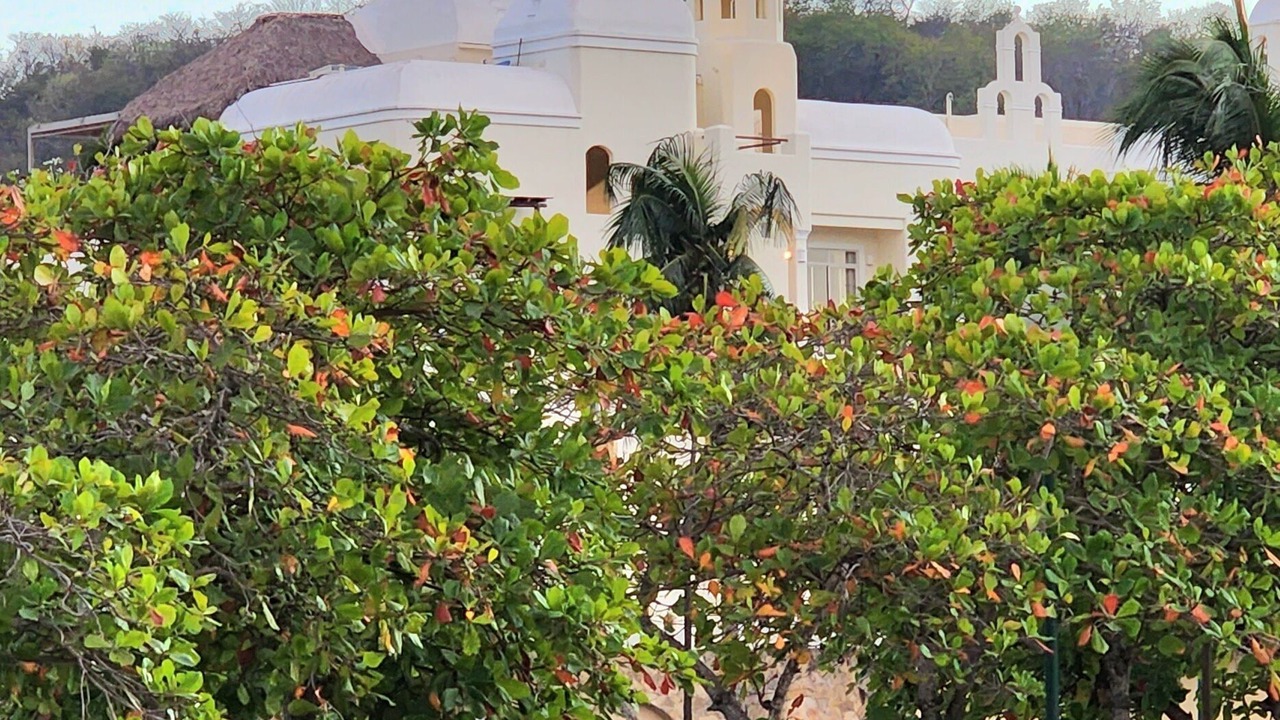 Photo of Outdoor in P Chahue