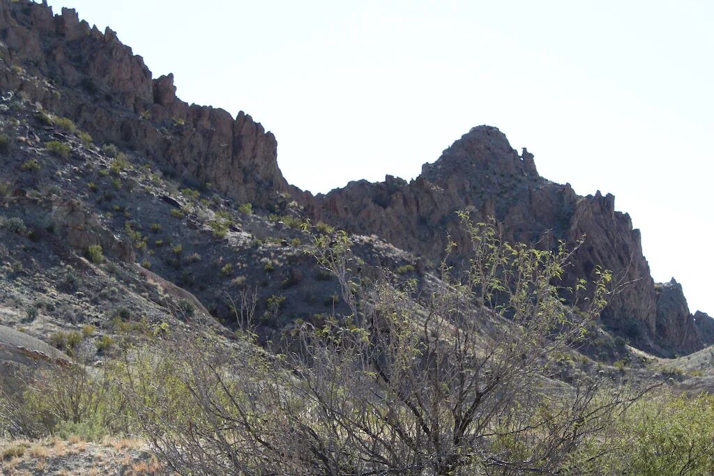 Photo of Outdoor in Terlingua
