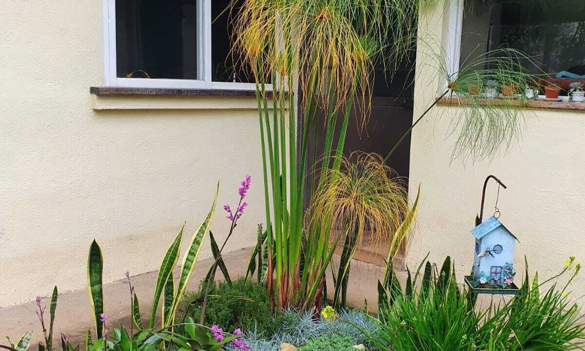 Photo of Outdoor in San Lucas Sacatepequez