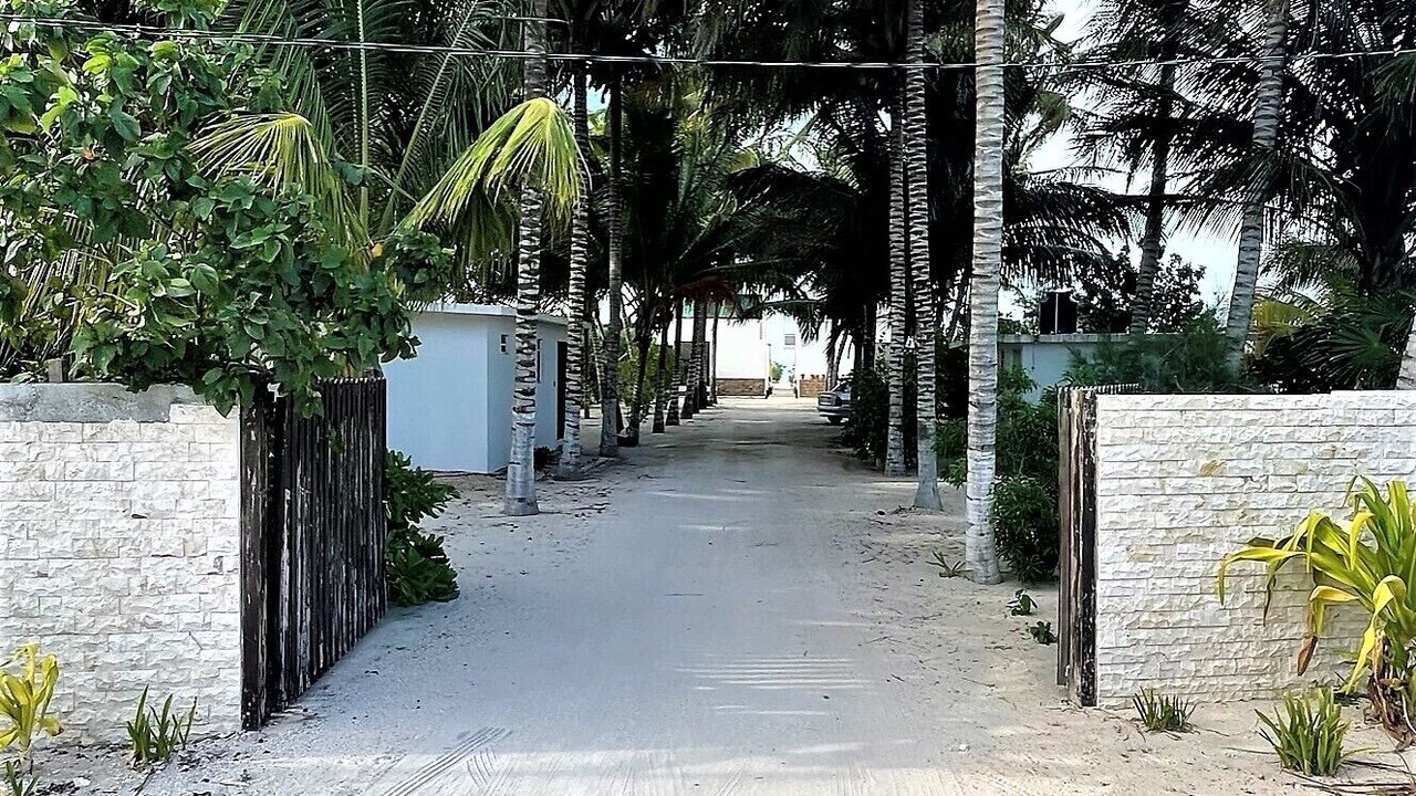 Photo of Outdoor in San Benito