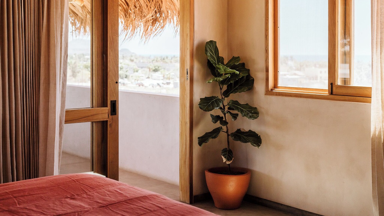 Photo of Bedroom in Todos Santos