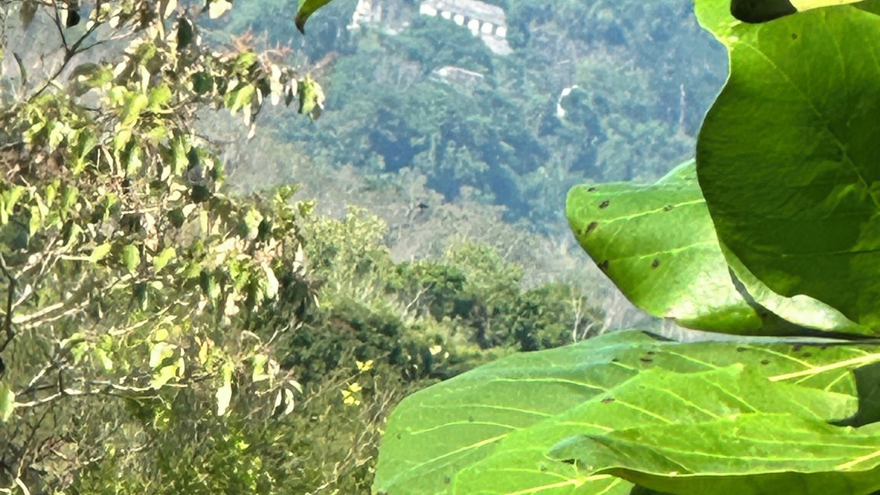 Photo of Others in Palenque