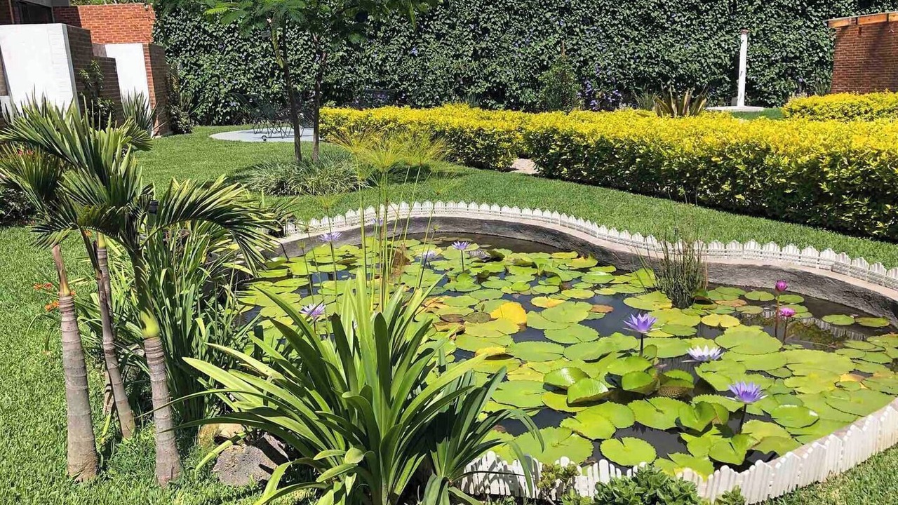 Photo of Outdoor in Santa Cecilia