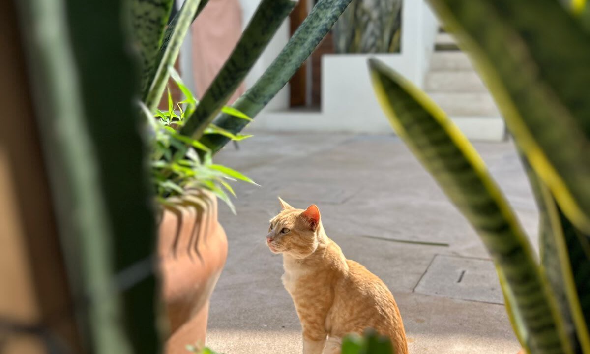 Photo of Outdoor in Jimenez