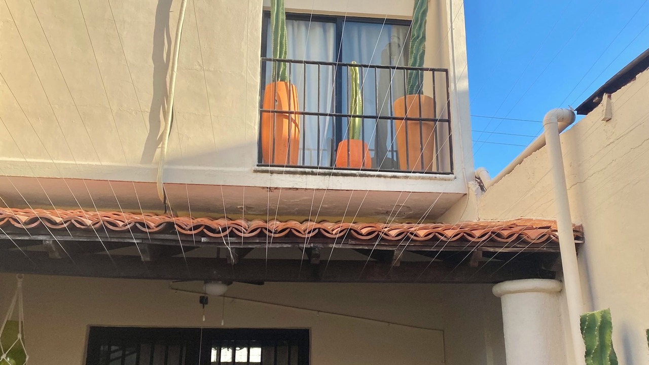 Photo of Outdoor in Zona Paseo Montejo