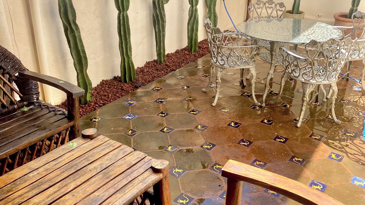 Photo of Outdoor in Zona Paseo Montejo